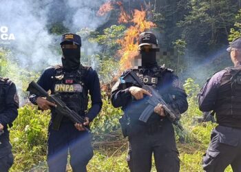 Policía antidrogas elimina plantación de hoja de coca y destruye laboratorio en Olancho